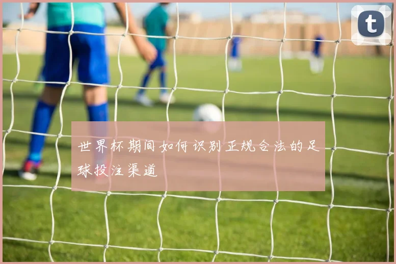 世界杯期间如何识别正规合法的足球投注渠道