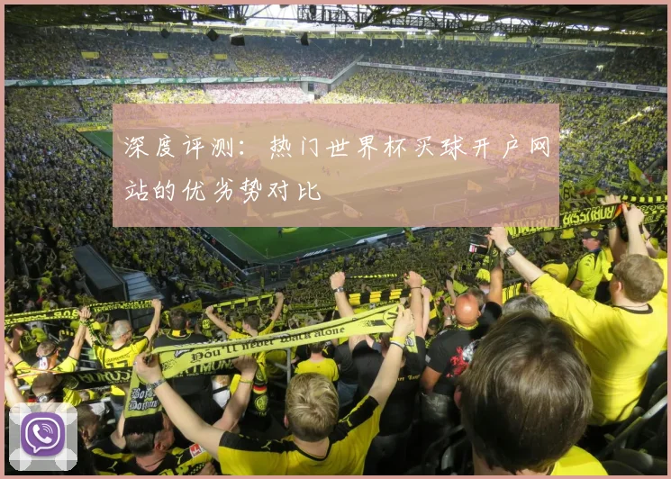 深度评测：热门世界杯买球开户网站的优劣势对比