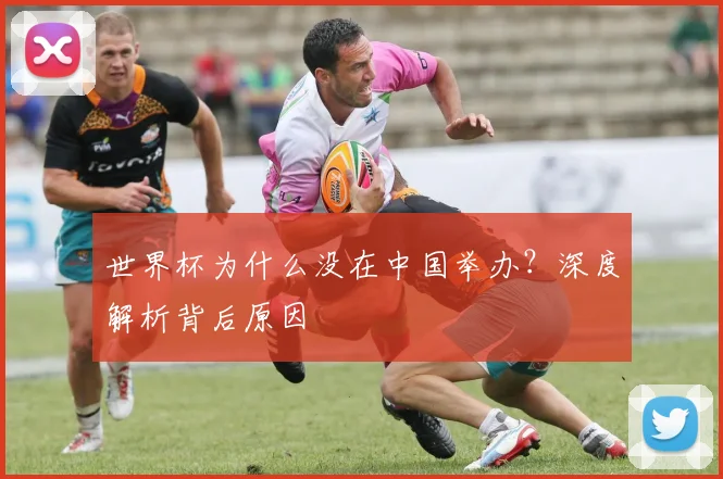 世界杯为什么没在中国举办?深度解析背后原因