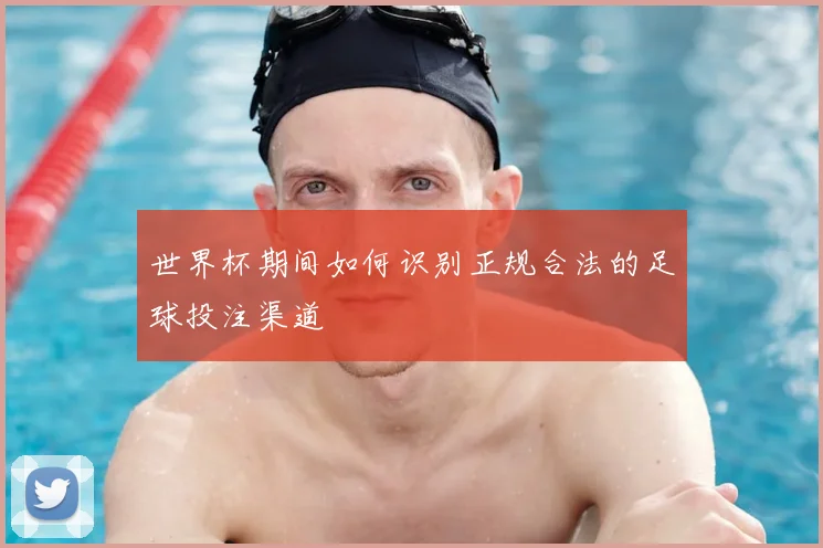 世界杯期间如何识别正规合法的足球投注渠道