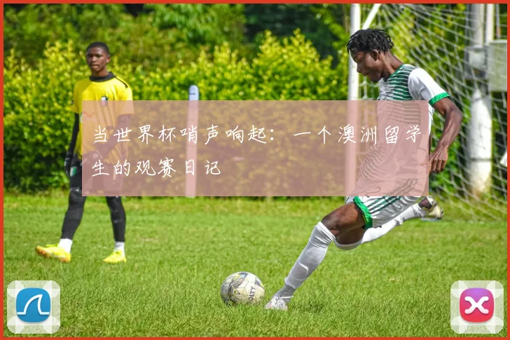 当世界杯哨声响起:一个澳洲留学生的观赛日记