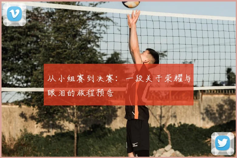 从小组赛到决赛：一段关于荣耀与眼泪的旅程预告