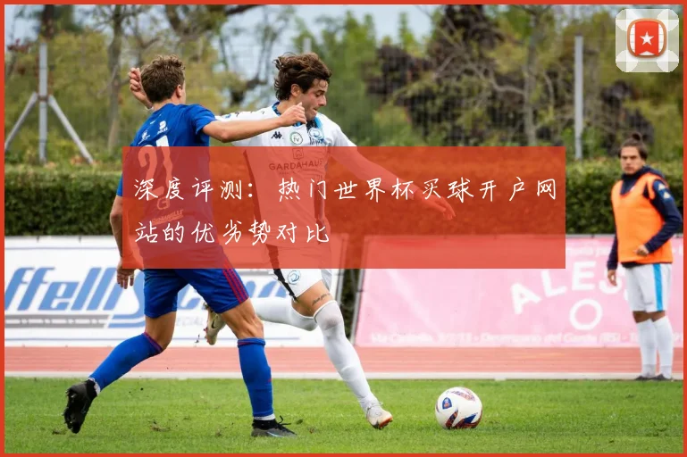 深度评测：热门世界杯买球开户网站的优劣势对比