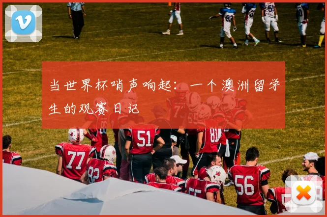 当世界杯哨声响起:一个澳洲留学生的观赛日记