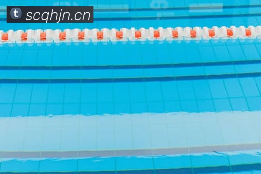 多媒体互动体验